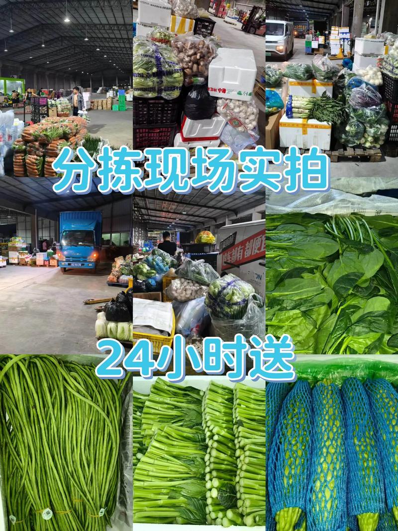 探寻莱阳农产品的魅力：一段关于丰收与品质的旅程
